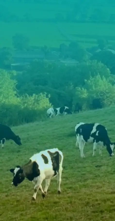 Агрокомплекс